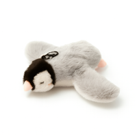 Pinguino